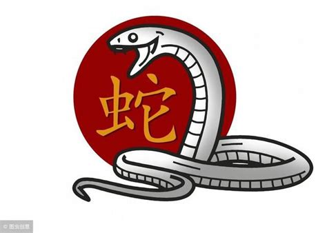 小龍蛇|蛇為什麼又稱“小龍”？是龍最重要的取材對象